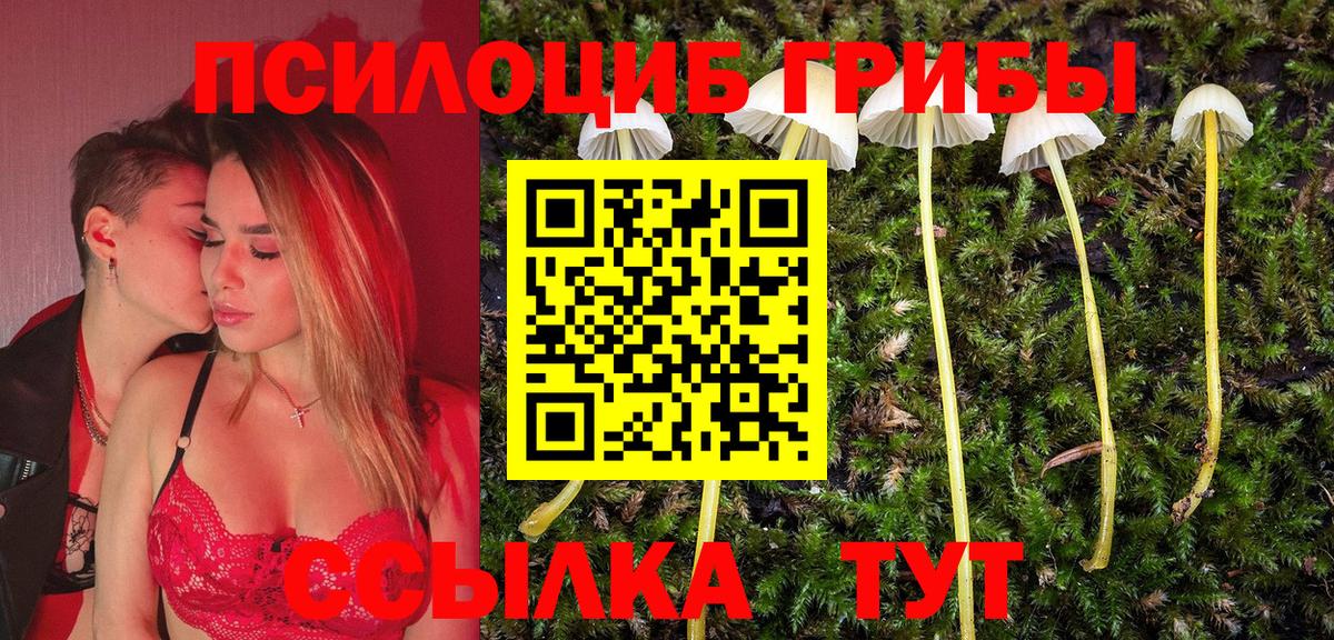 Саратов  Псилоцибиновые грибы мицелий  где можно купить   Вход с VPN  Псилоцибиновые грибы Psilocybe 